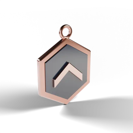 a hexagonal rank medal with a raised chevron, thick bevelled rim